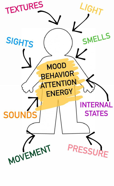 Therapeutic Benefits of Sensory Bin Play